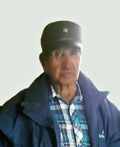 franklin bear looks running