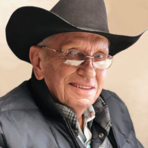 david nelson Gallery