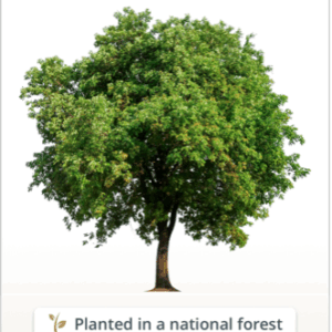 mary johnson Gallery