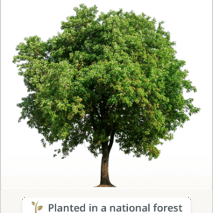 vincent beaner Gallery