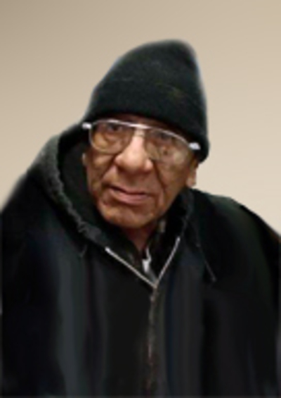 theodore little shield