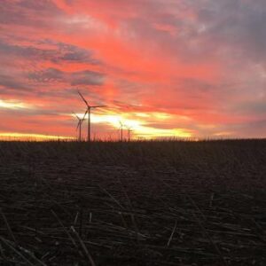 darrell wangsness Gallery