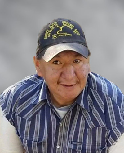 andrew little shield