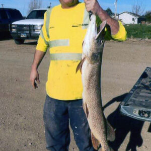 morris reber Gallery