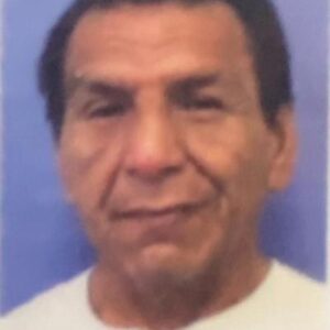 steven middletent Gallery